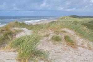 Dune landscape with the north sea in summer, Hvide Sande, Ringkobing Fjord, North Sea, Midtjylland, Central Jutland, Denmark Dune landscape with the north sea in summer, Hvide Sande, Ringkobing Fjord, North Sea, Midtjylland, Central Jutland, Denmark